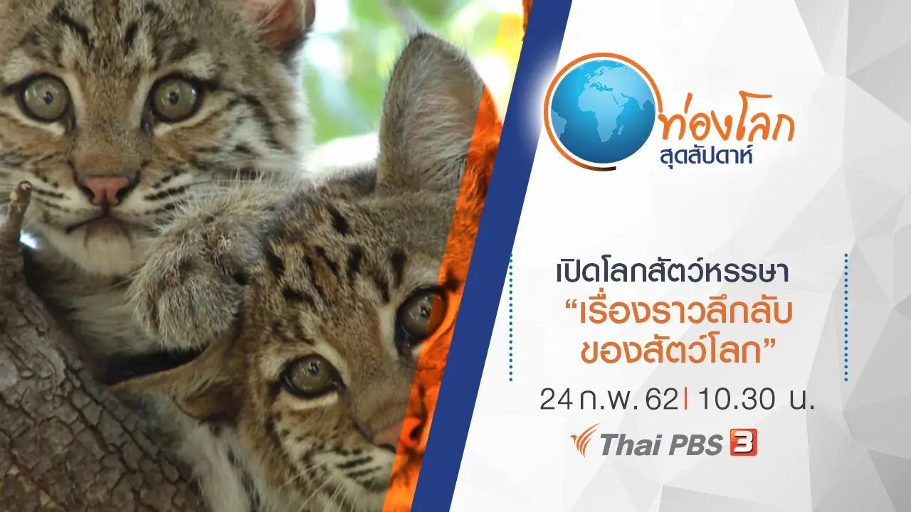 เปิดโลกสัตว์หรรษา ตอน เรื่องราวลึกลับของสัตว์โลก