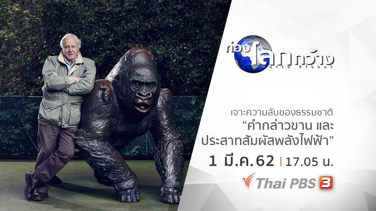 เจาะความลับของธรรมชาติ ตอน คำกล่าวขาน และประสาทสัมผัสพลังไฟฟ้า