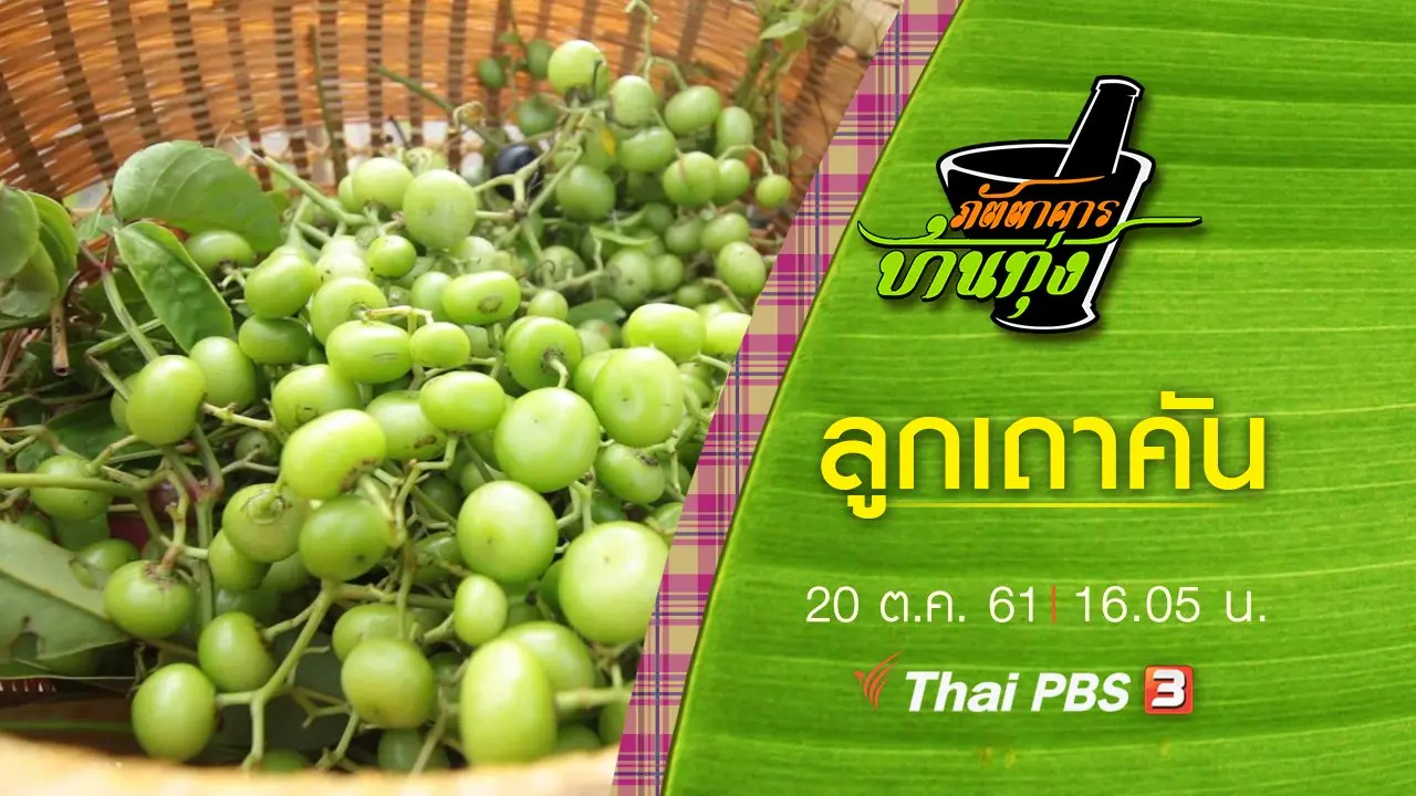 ลูกเถาคัน