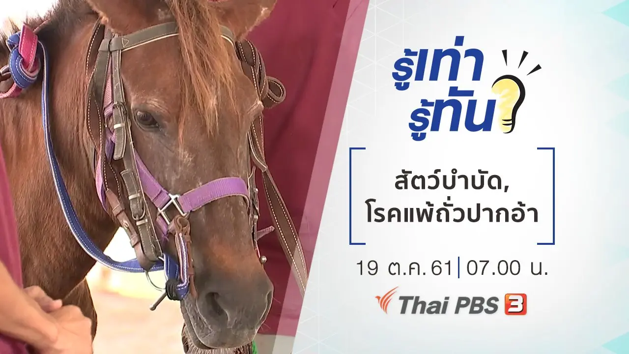 สัตว์บำบัด, โรคแพ้ถั่วปากอ้า