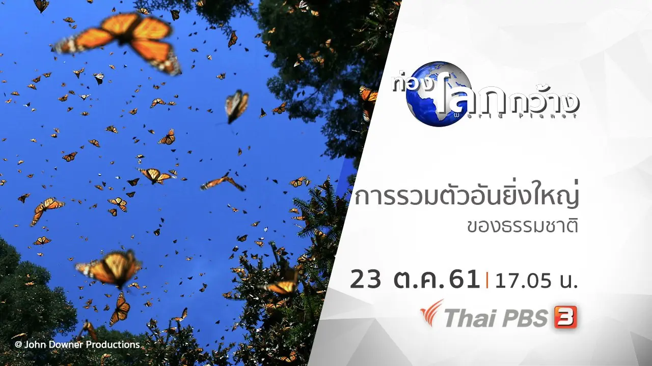 การรวมตัวอันยิ่งใหญ่ของธรรมชาติ