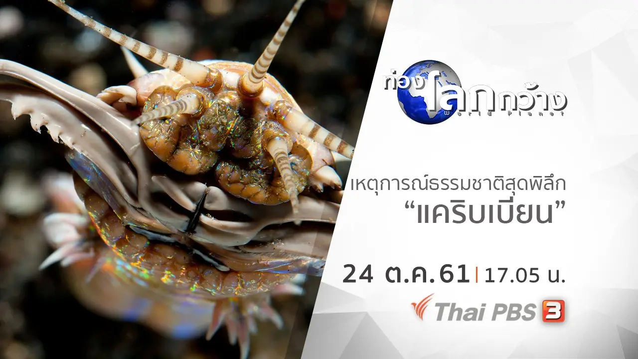 เหตุการณ์ธรรมชาติสุดพิลึก ตอน แคริบเบียน