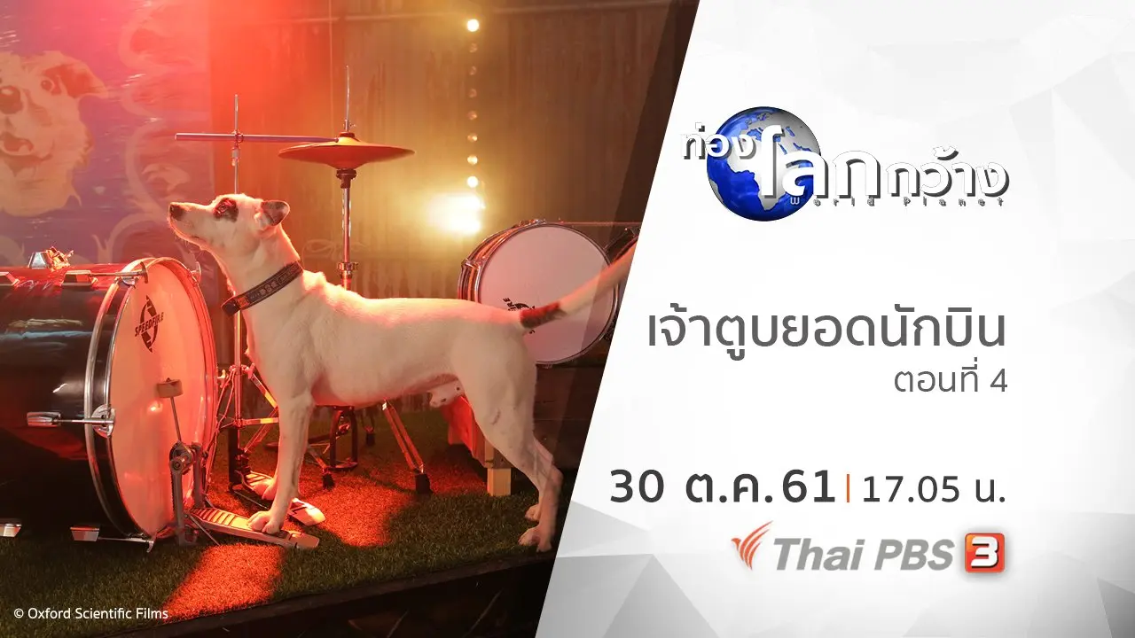 เจ้าตูบยอดนักบิน ตอนที่ 4