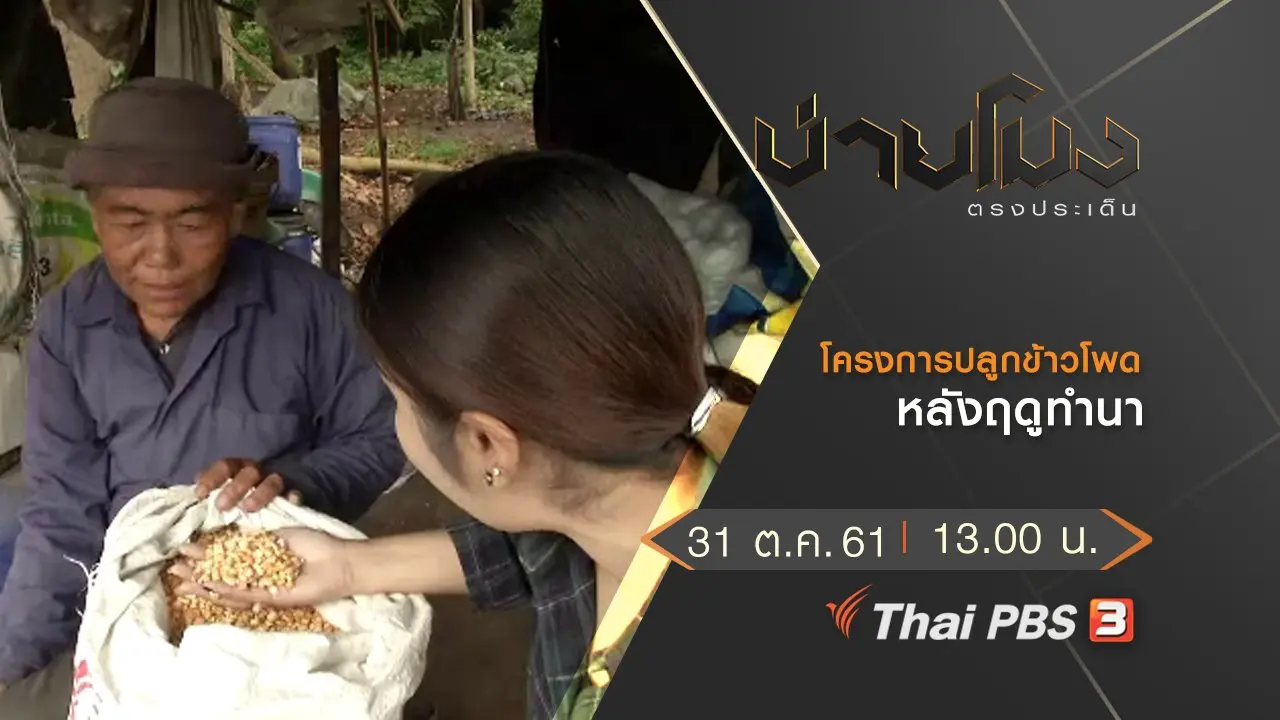 ประเด็นข่าว (31 ต.ค. 61)