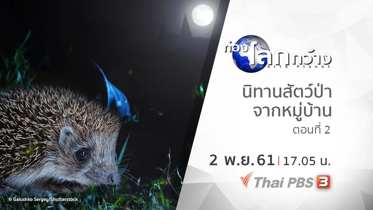 นิทานสัตว์ป่าจากหมู่บ้าน ตอนที่ 2