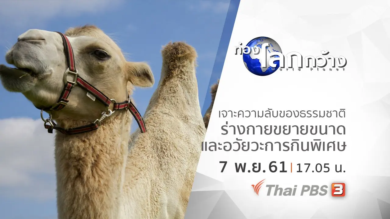 เจาะความลับของธรรมชาติ ตอน ร่างกายขยายขนาด และอวัยวะการกินพิเศษ