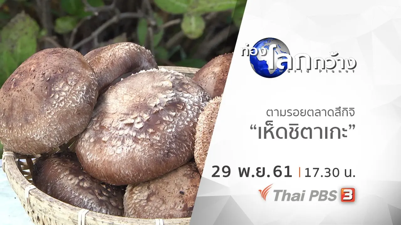 ตามรอยตลาดสึกิจิ ตอน เห็ดชิตาเกะ