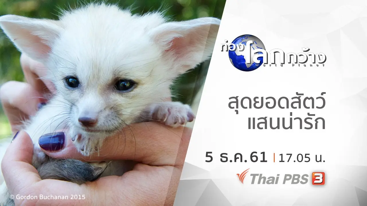 สุดยอดสัตว์แสนน่ารัก