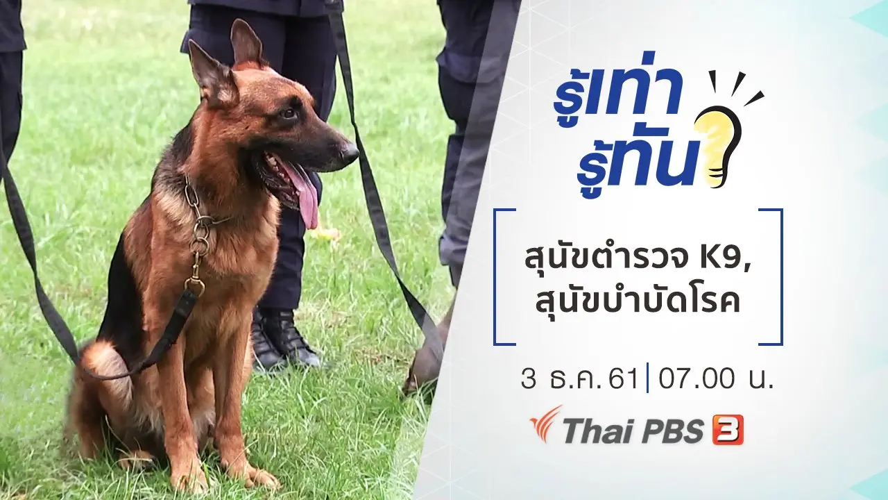สุนัขตำรวจ K9, สุนัขบำบัดโรค
