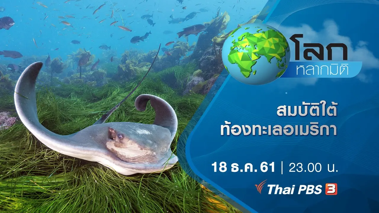สมบัติใต้ท้องทะเลอเมริกา