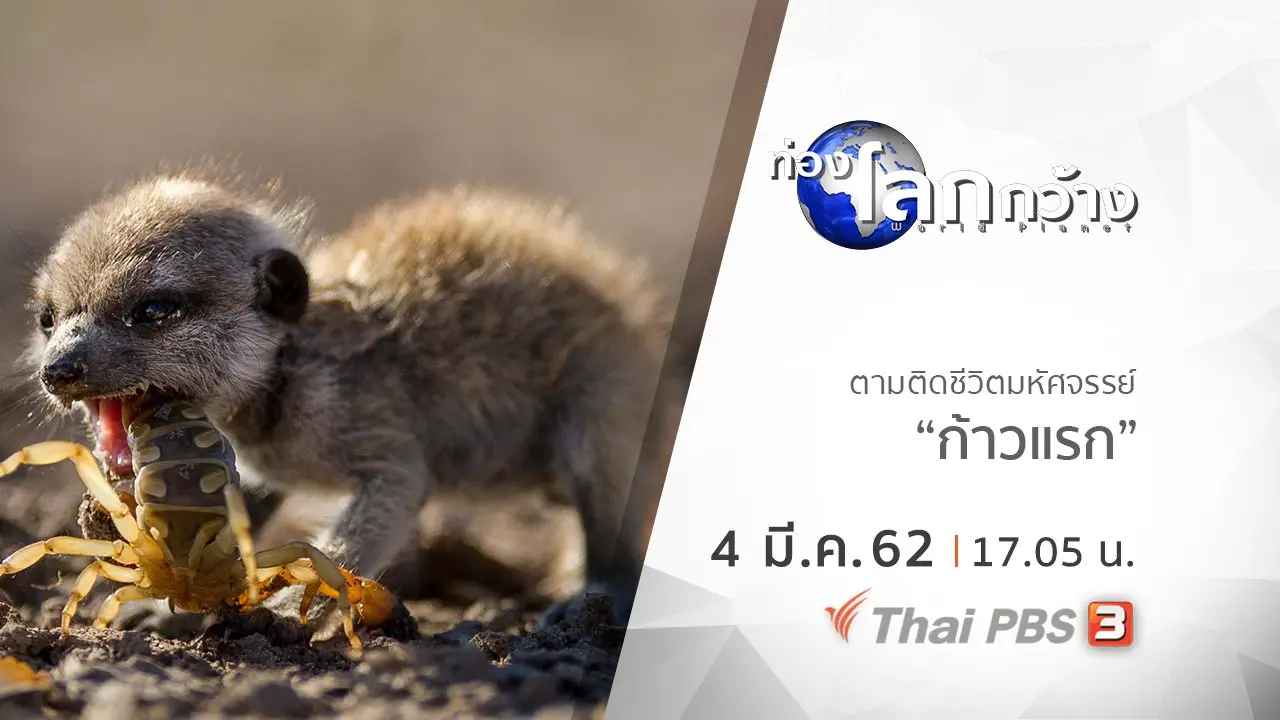 ตามติดชีวิตมหัศจรรย์ ตอน ก้าวแรก