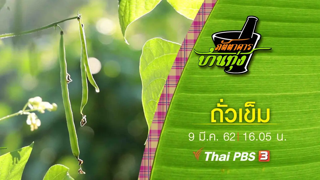 ถั่วเข็ม
