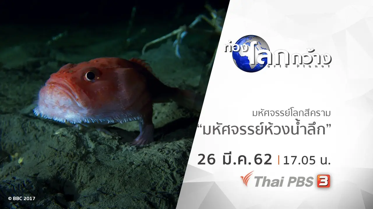 มหัศจรรย์โลกสีคราม ตอน มหัศจรรย์ห้วงน้ำลึก