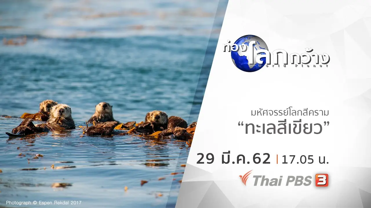 มหัศจรรย์โลกสีคราม ตอน ทะเลสีเขียว