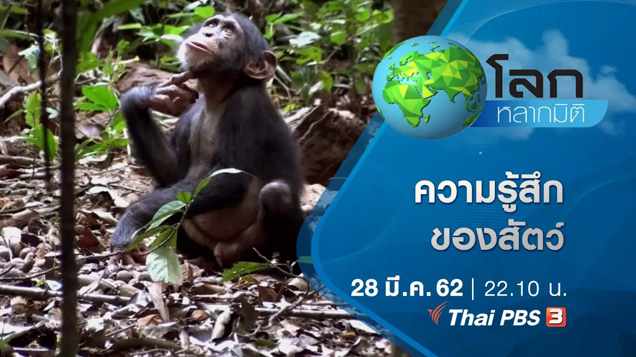 เปิดโลกวิทยาศาสตร์น่ารู้ ตอน ความรู้สึกของสัตว์ และภูเขาไฟแห่งเกาะชวา
