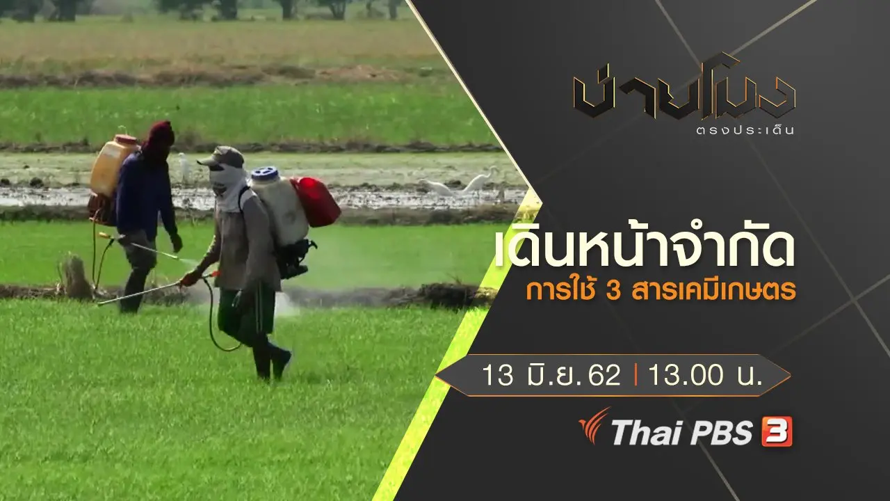 ประเด็นข่าว (13 มิ.ย. 62)