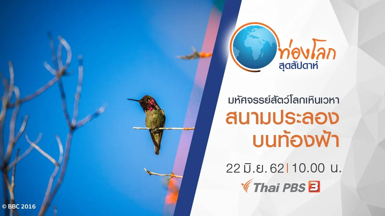มหัศจรรย์สัตว์โลกเหินเวหา ตอน สนามประลองบนท้องฟ้า