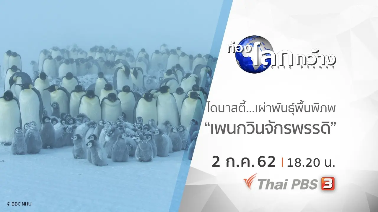 ไดนาสตี้ เผ่าพันธุ์พื้นพิภพ ตอน เพนกวินจักรพรรดิ