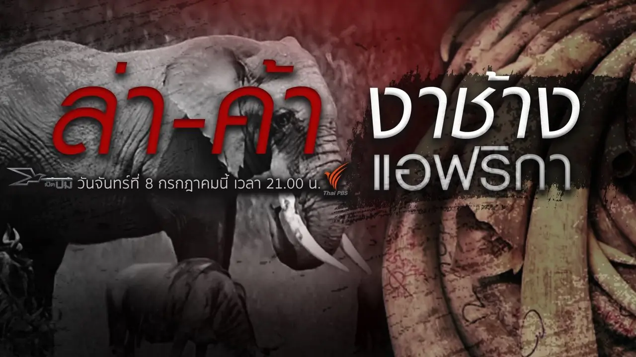 ล่า - ค้า งาช้างแอฟริกา​​