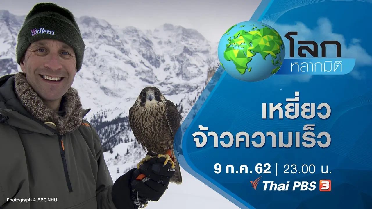 เหยี่ยวจ้าวความเร็ว