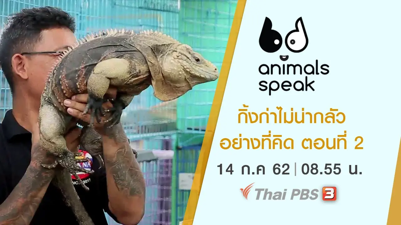 กิ้งก่าไม่น่ากลัวอย่างที่คิด ตอนที่ 2