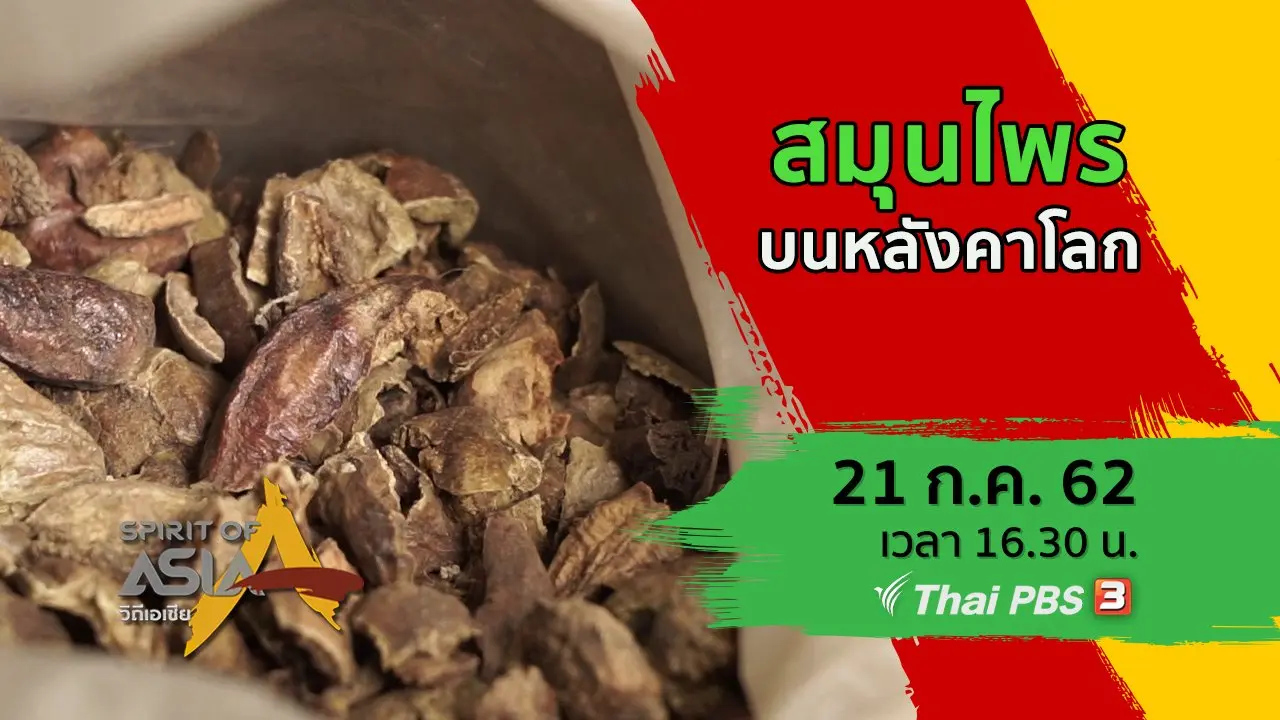 สมุนไพรบนหลังคาโลก
