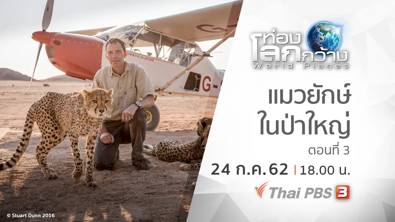 แมวยักษ์ในป่าใหญ่ ตอนที่ 3