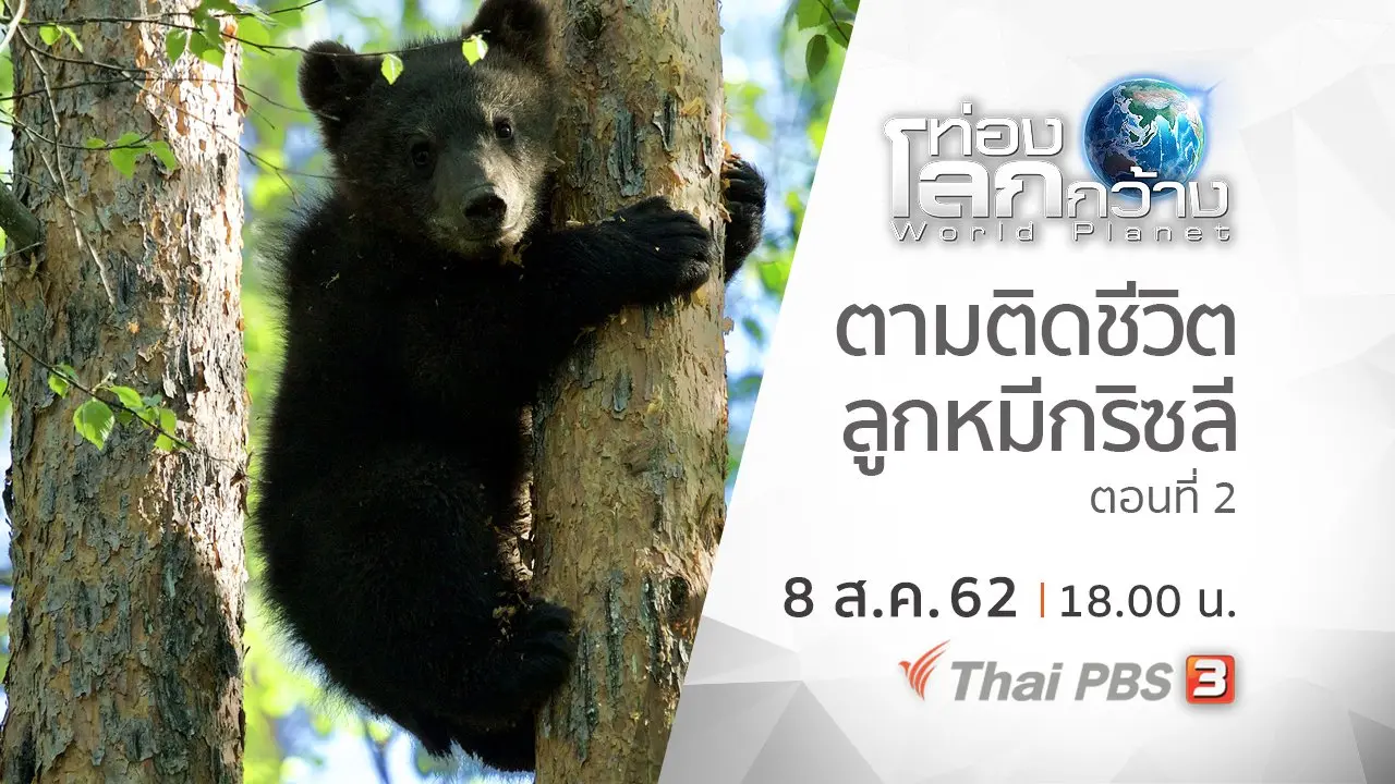 ตามติดชีวิตลูกหมีกริซลี ตอนที่ 2