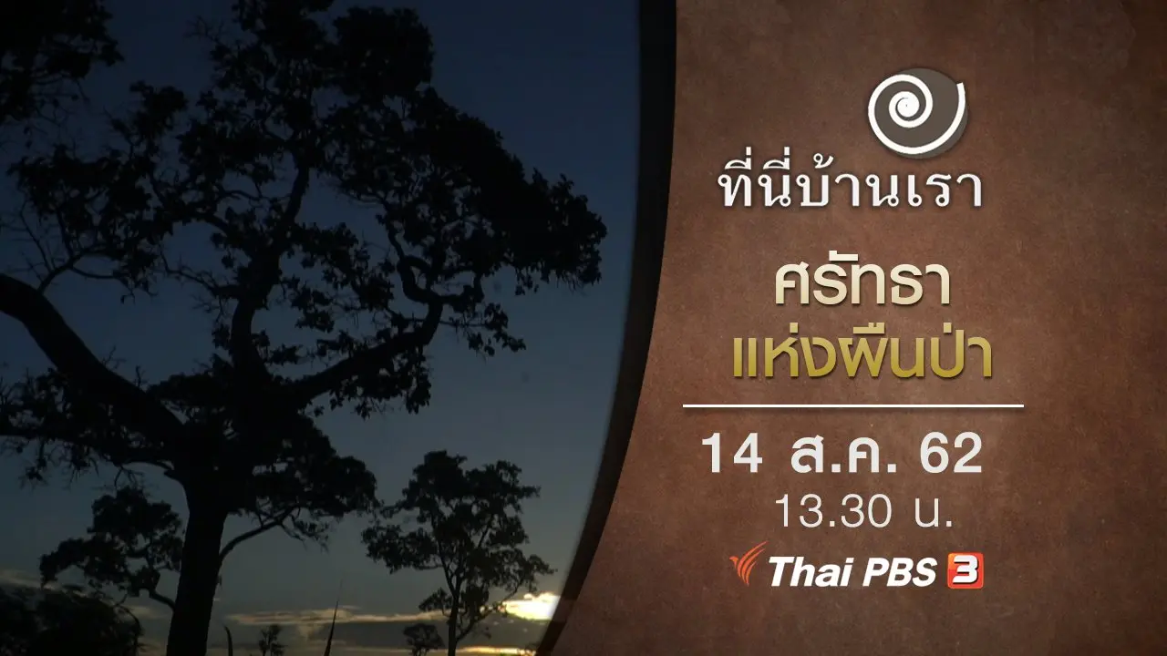 ศรัทธาแห่งผืนป่า