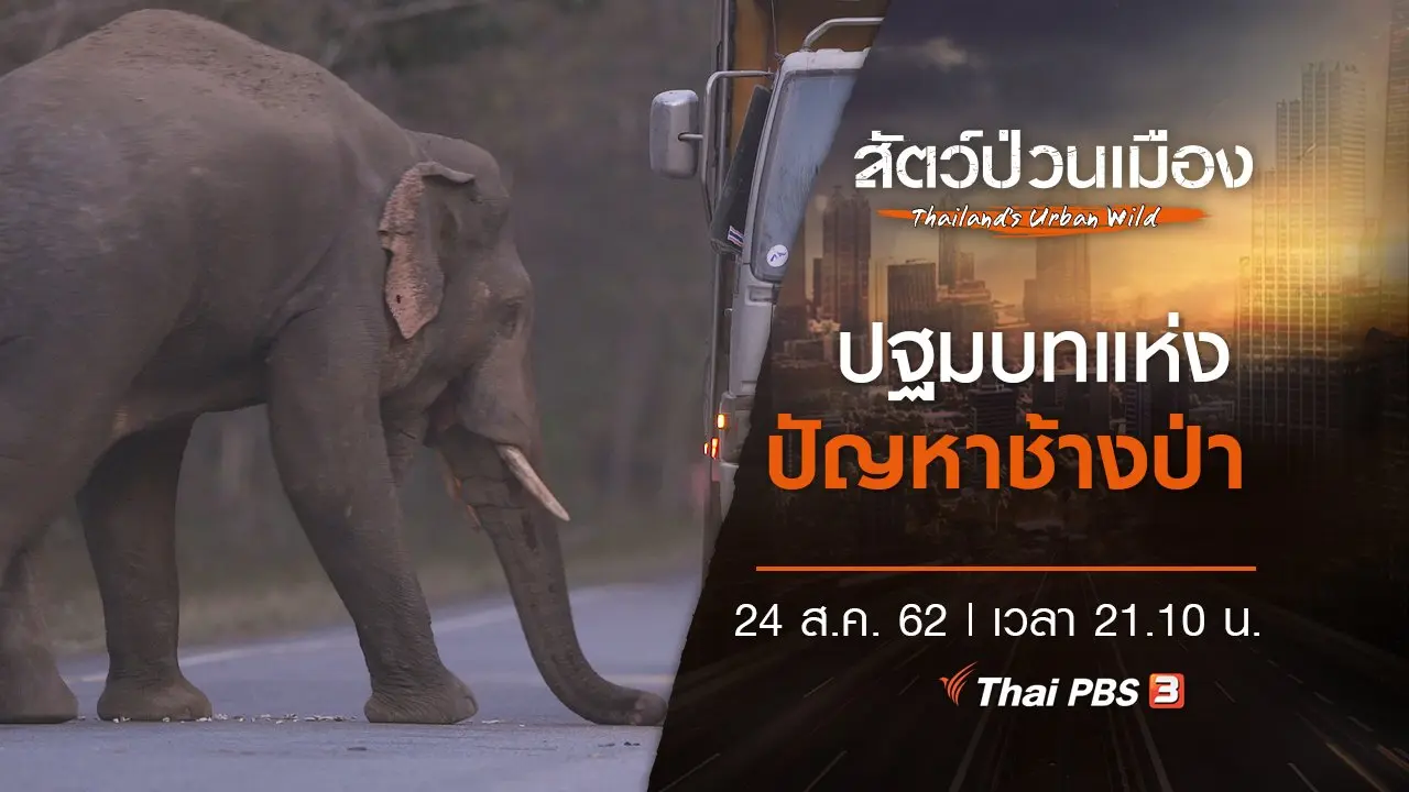 ปฐมบทแห่งปัญหาช้างป่า