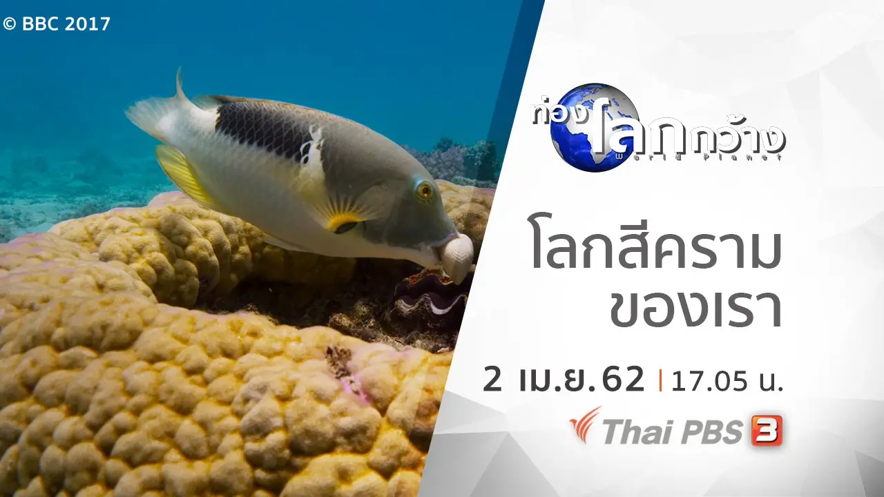 มหัศจรรย์โลกสีคราม ตอน โลกสีครามของเรา