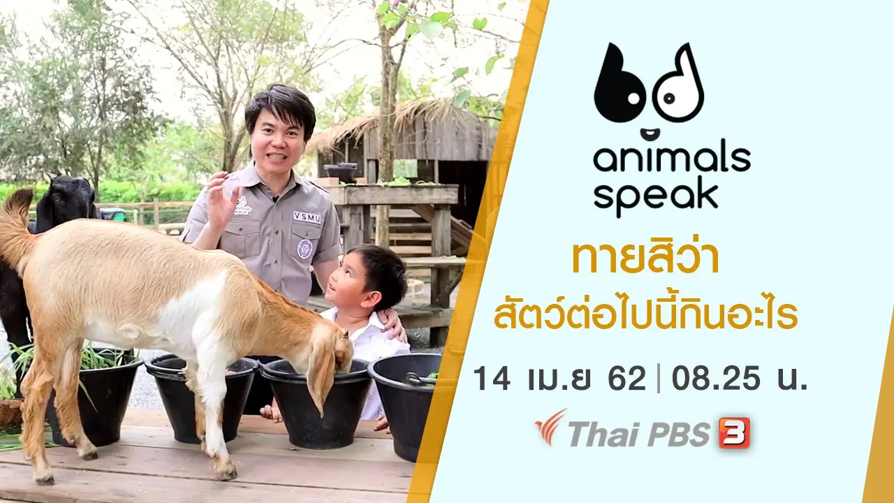 ทายสิว่าสัตว์ต่อไปนี้กินอะไร