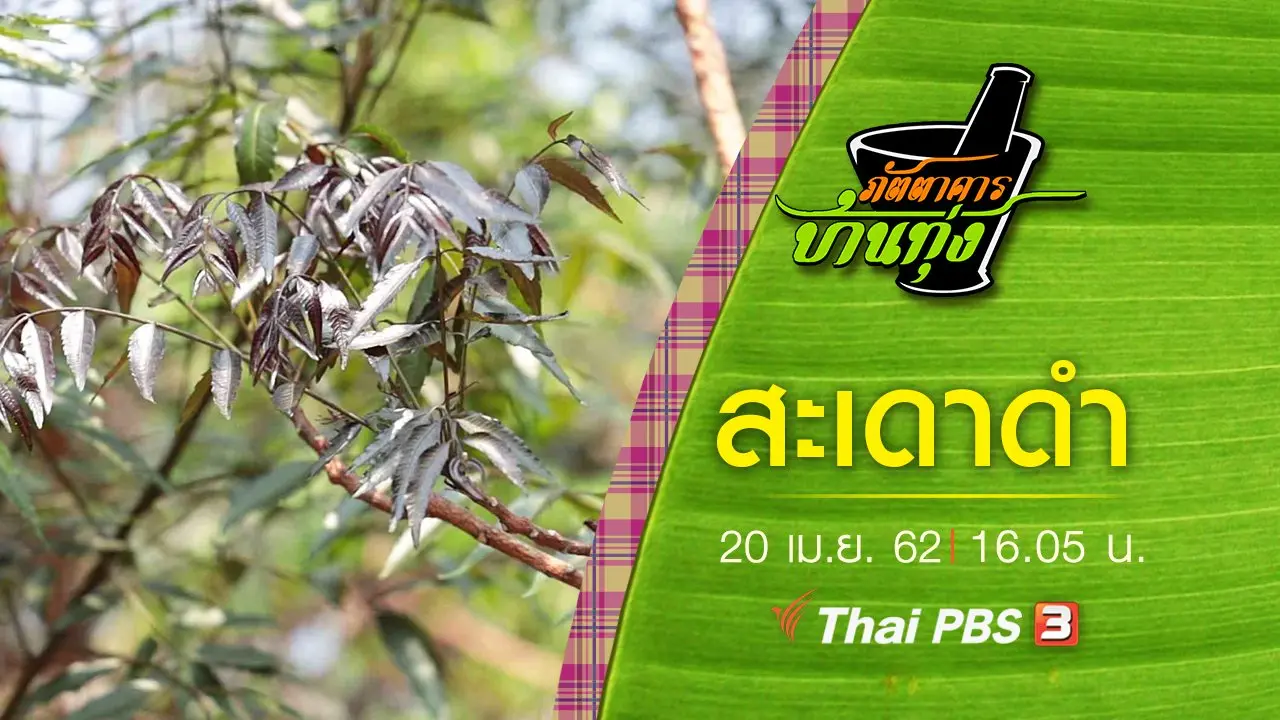 สะเดาดำ