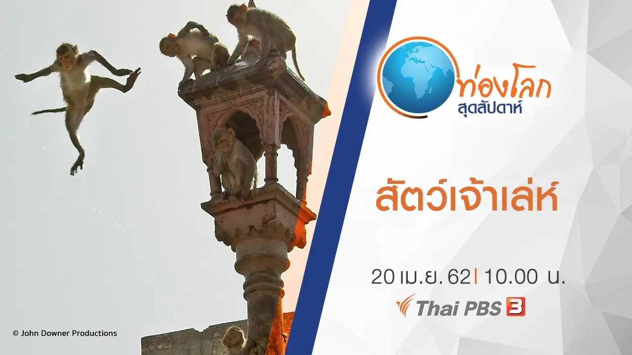 สัตว์สายลับจอมส่องธรรมชาติ ตอน พบกับสัตว์เจ้าเล่ห์