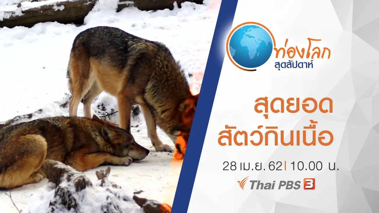 เปิดโลกสัตว์หรรษา ตอน สุดยอดสัตว์กินเนื้อ