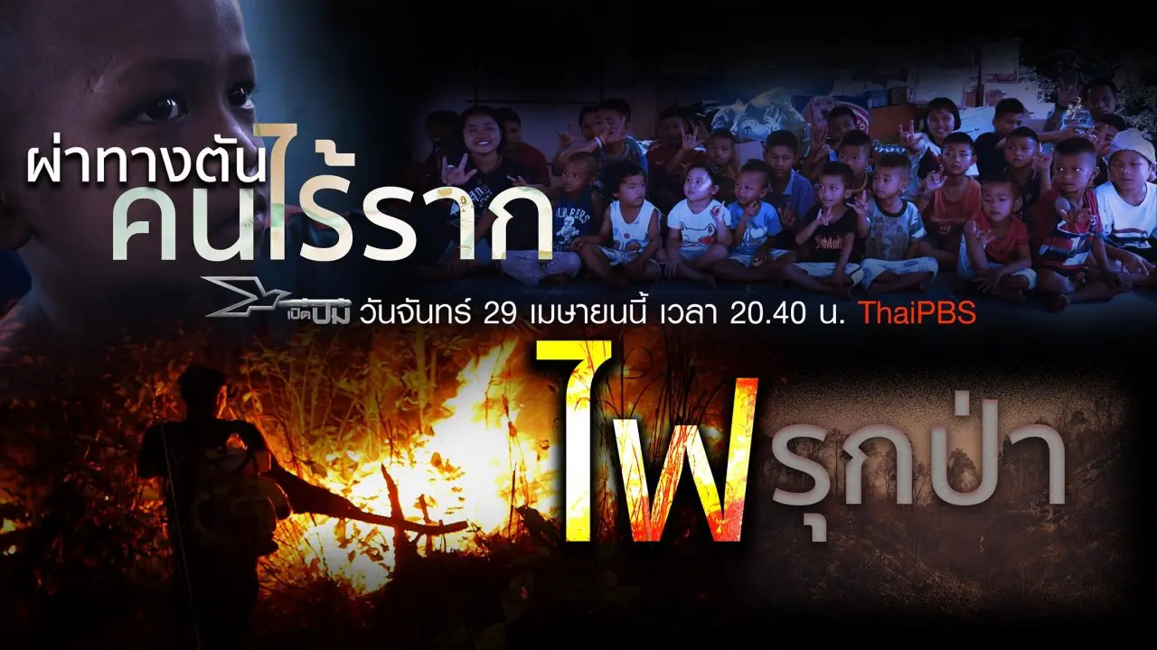 ผ่าทางตันคนไร้ราก, ไฟรุกป่า