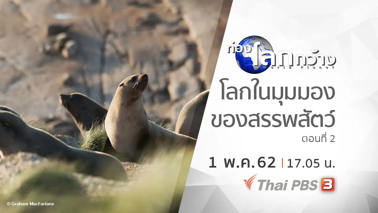โลกในมุมมองของสรรพสัตว์ ตอนที่ 2