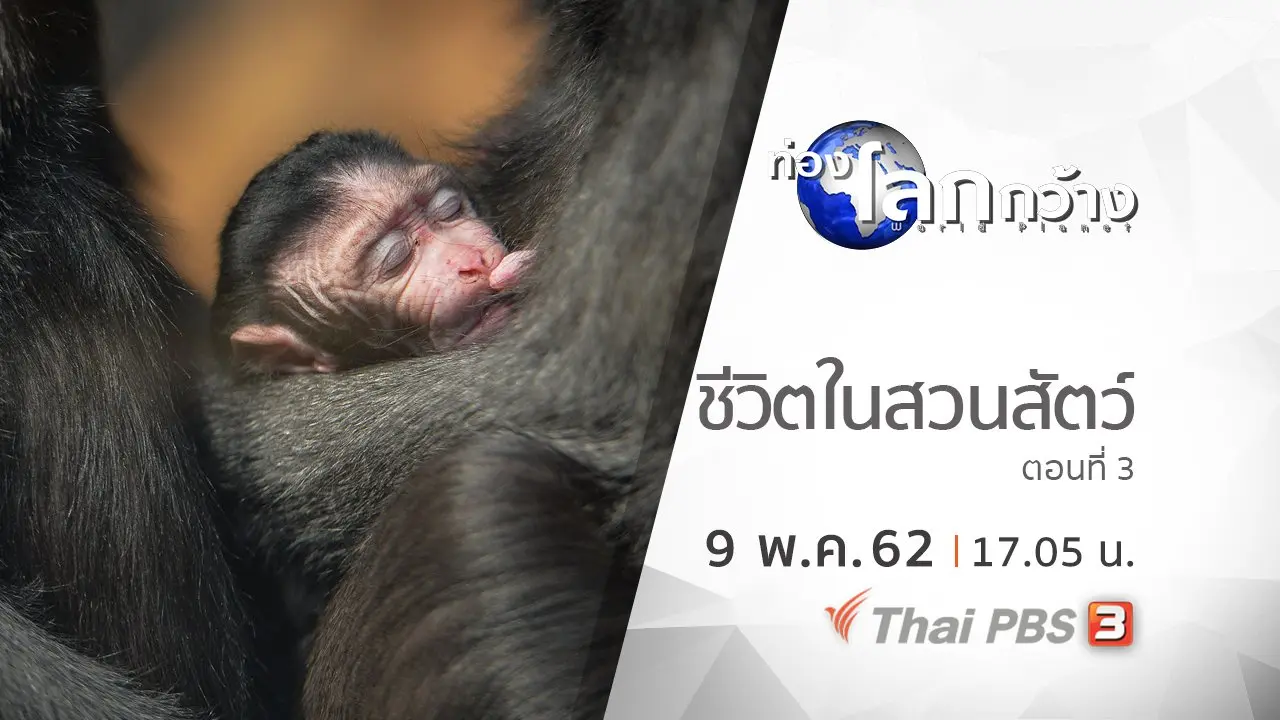 ชีวิตในสวนสัตว์ ตอนที่ 3