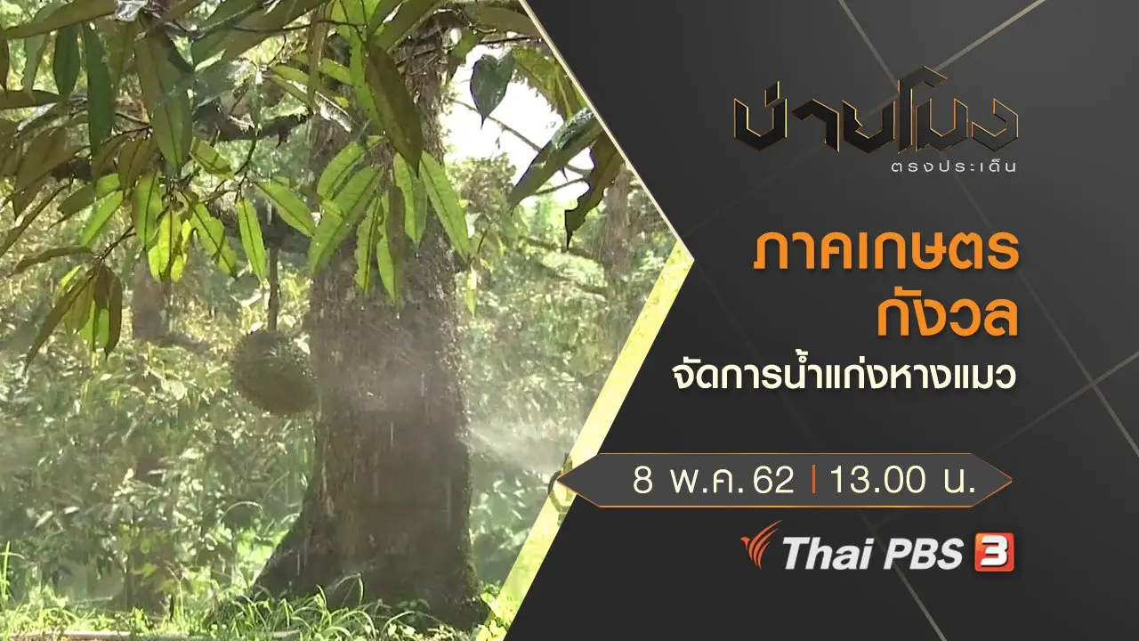 ประเด็นข่าว (8 พ.ค. 62)
