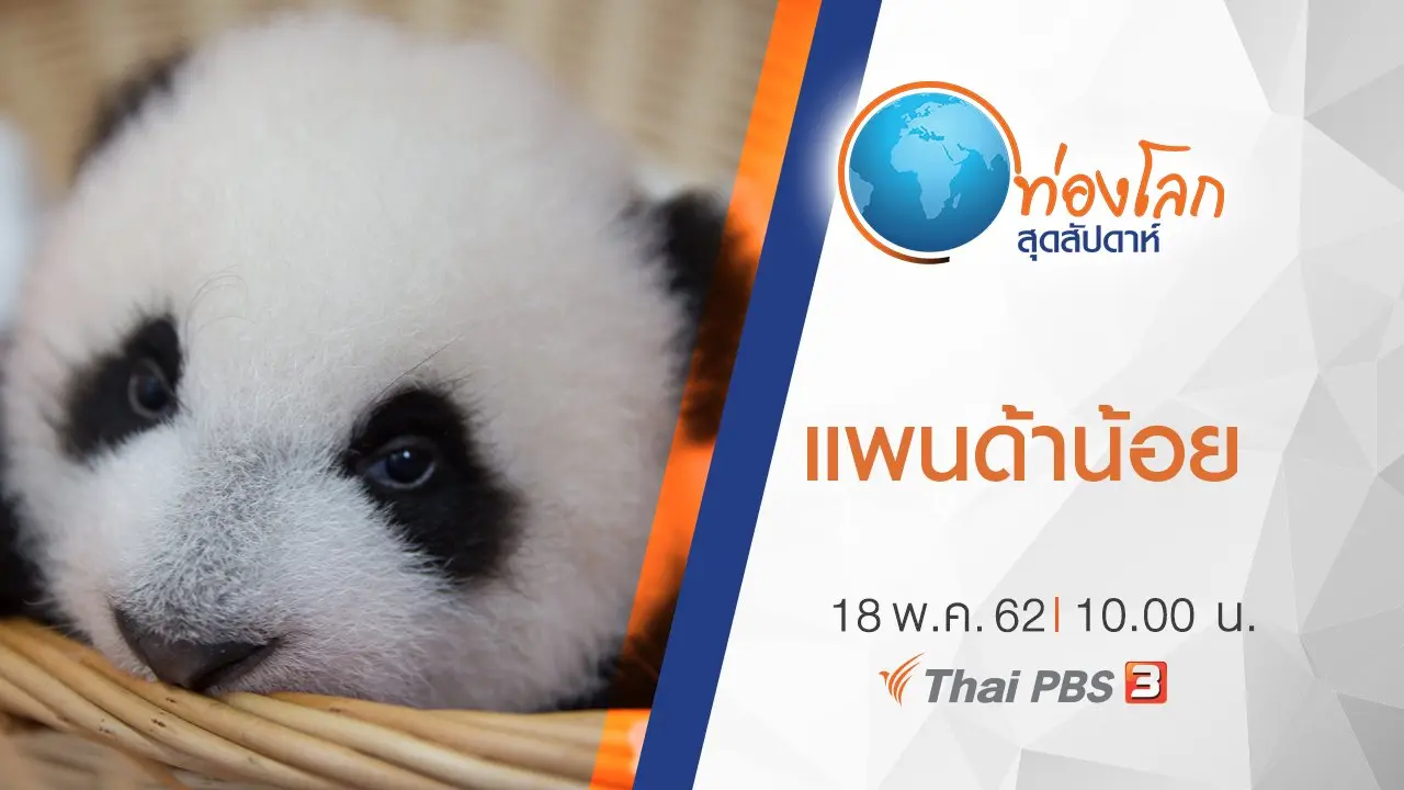 แพนด้าน้อย