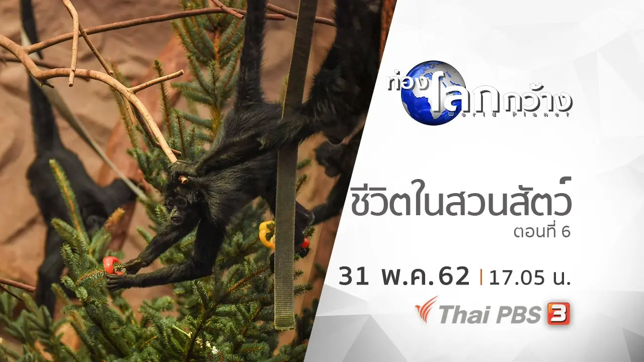 ชีวิตในสวนสัตว์ ตอนที่ 6