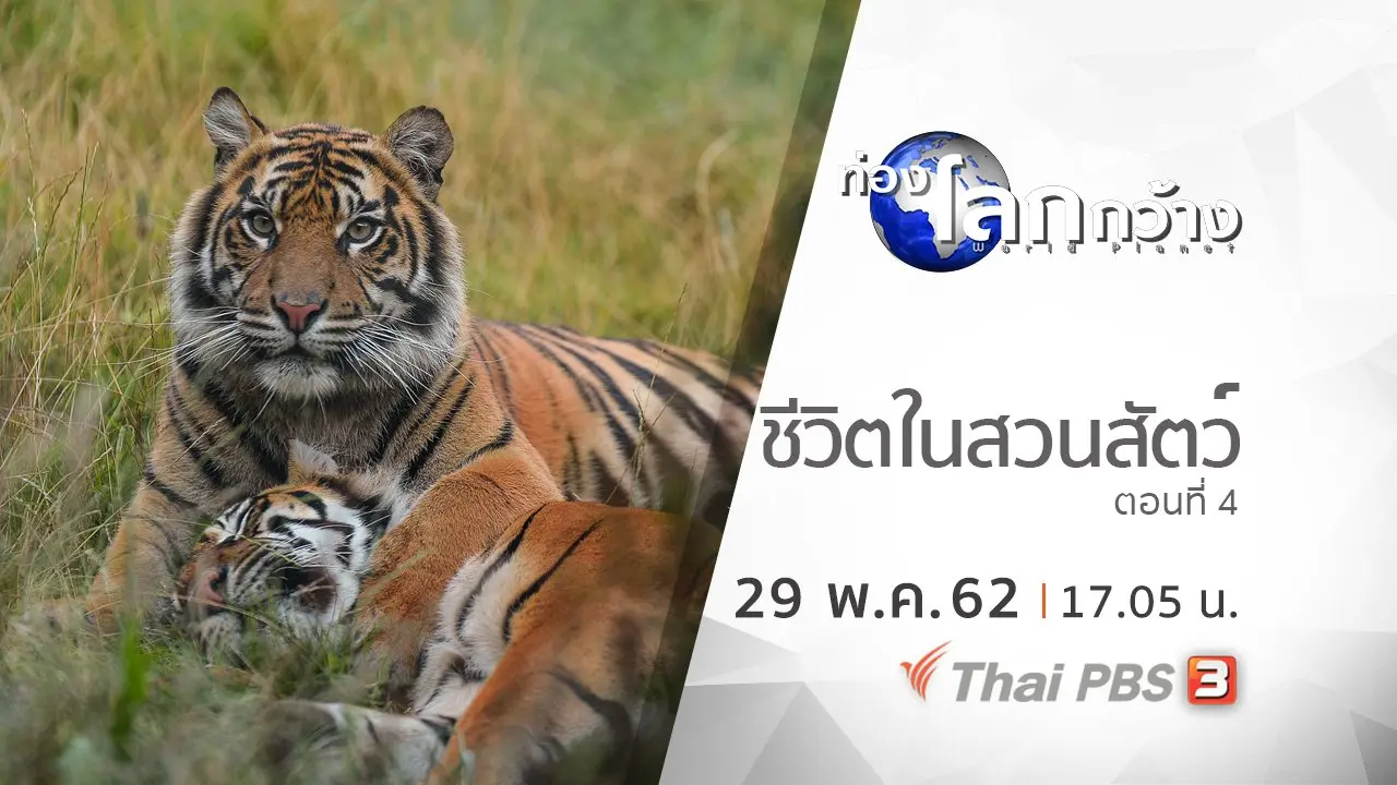 ชีวิตในสวนสัตว์ ตอนที่ 4