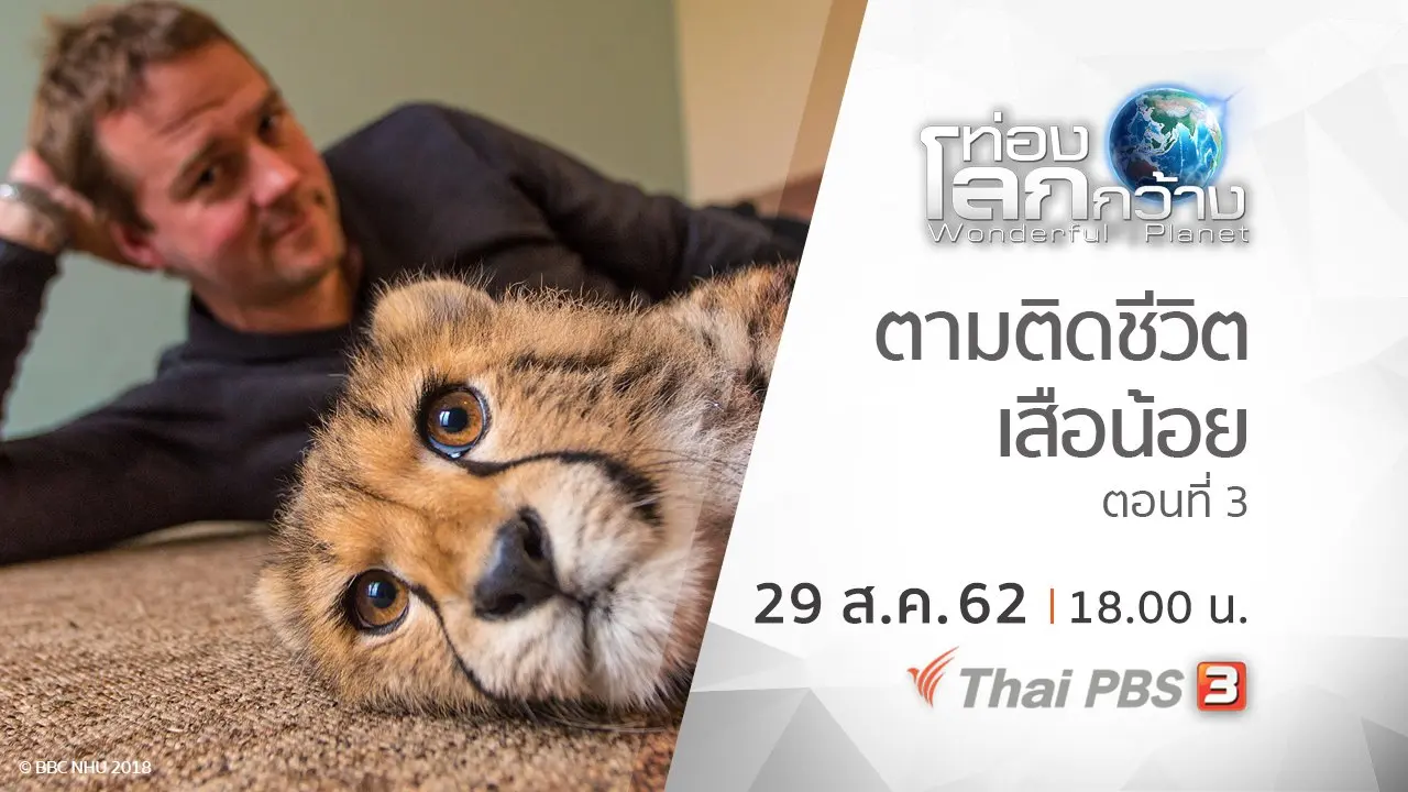 ตามติดชีวิตเสือน้อย ตอนที่ 3