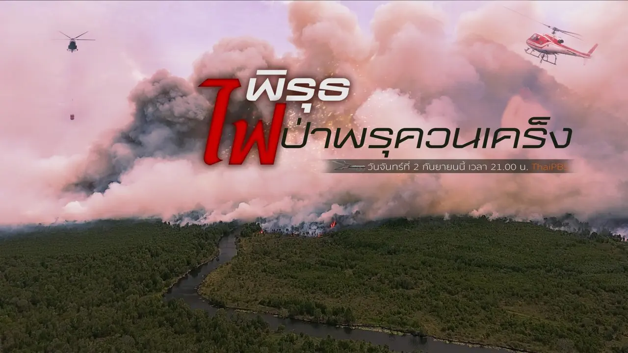 พิรุธไฟป่าพรุควนเคร็ง