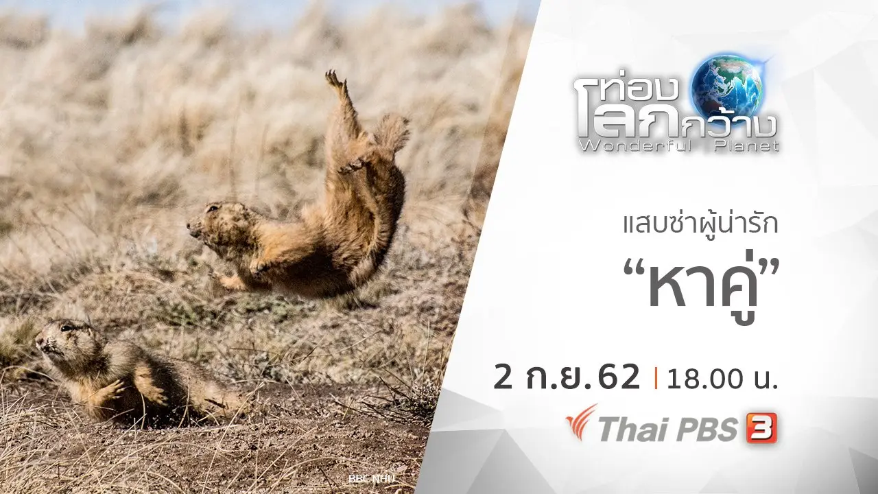 แสบซ่าผู้น่ารัก ตอน หาคู่