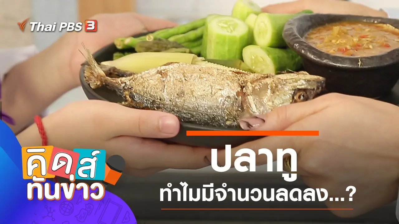 ปลาทู