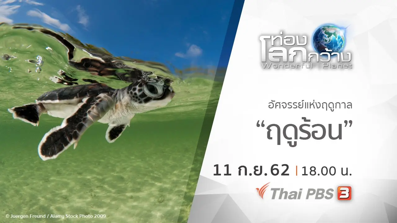 อัศจรรย์แห่งฤดูกาล ตอน ฤดูร้อน