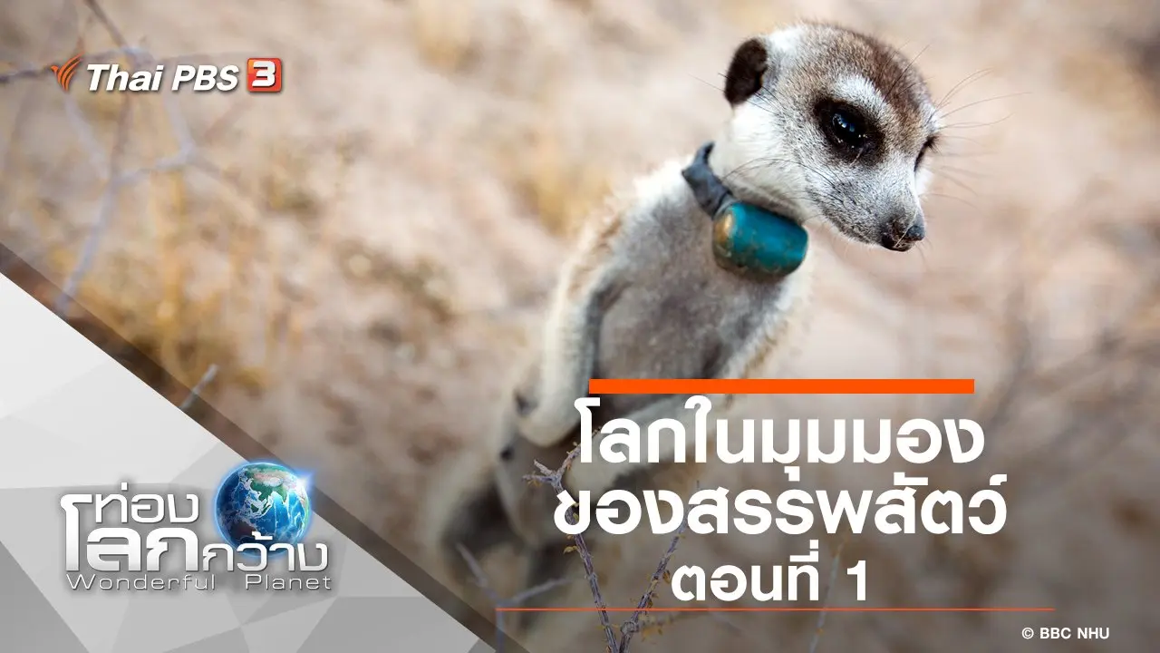 โลกในมุมมองของสรรพสัตว์ ตอนที่ 1