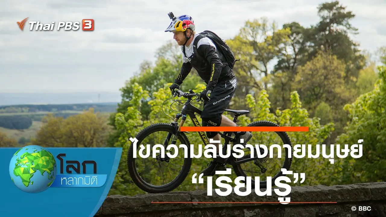 ไขความลับร่างกายมนุษย์ ตอน เรียนรู้