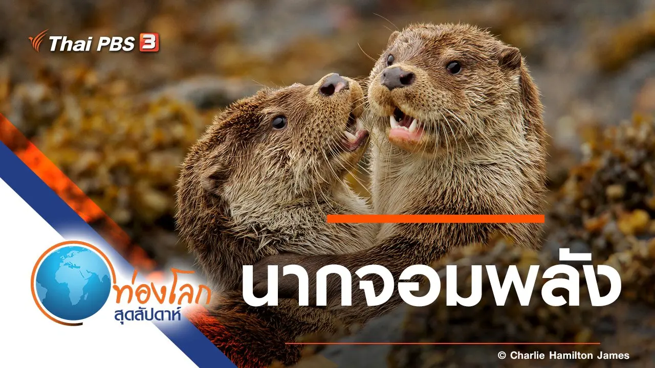 นากจอมพลัง